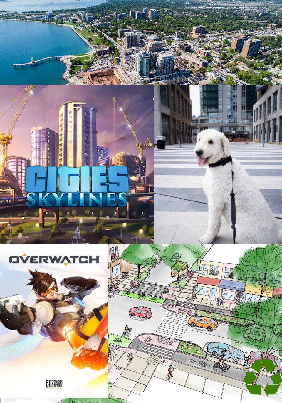 collage of images showing Nick's hobbies, the city of Burlington, and his dog charlie